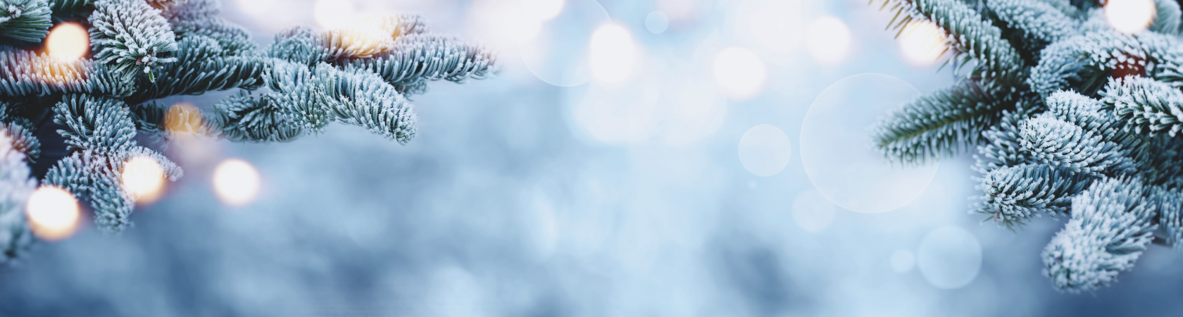 Unscharfer Hintergrund mit schneebedeckten Tannenzweigen an den Seiten