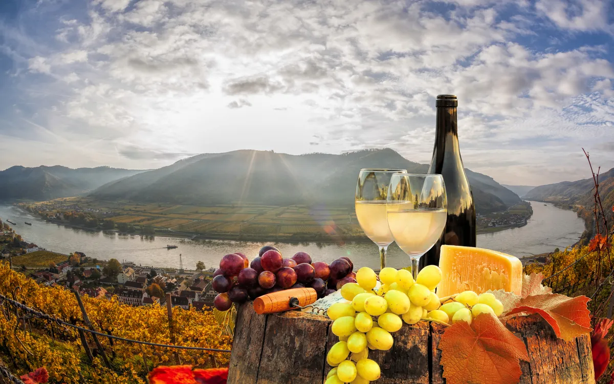 Wachau: das berühmteste Weinbaugebiet Österreichs