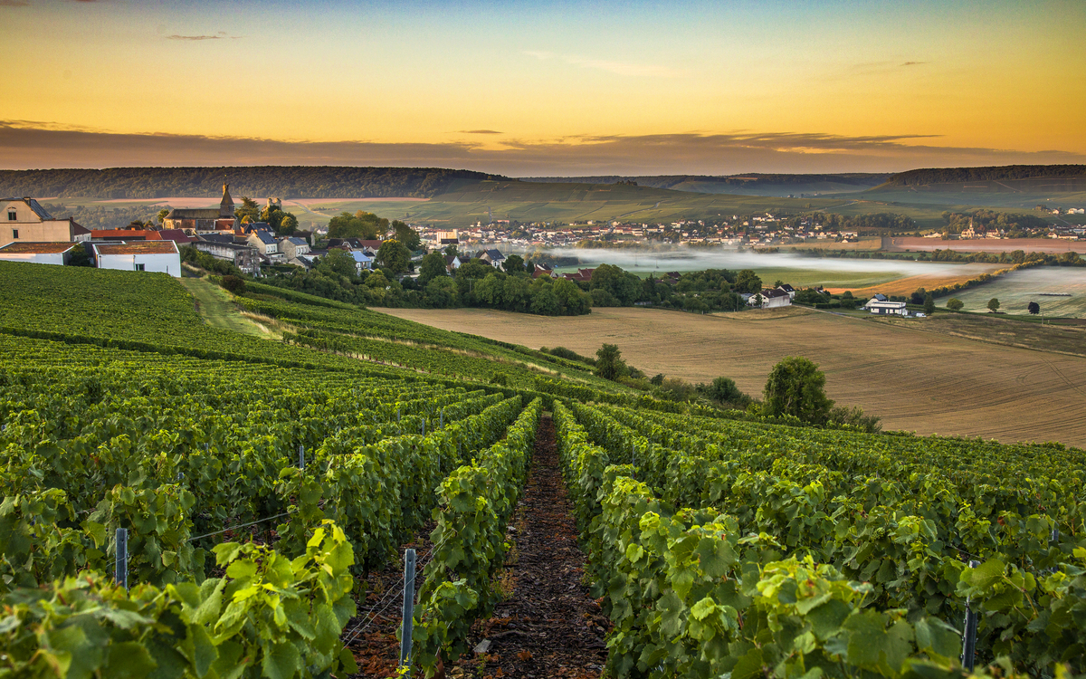 Champagne Region in Frankreich