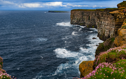 schottische Küste nahe Kirkwall