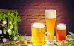 Bierverkostung im Bierkeller