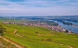 Rüdesheim