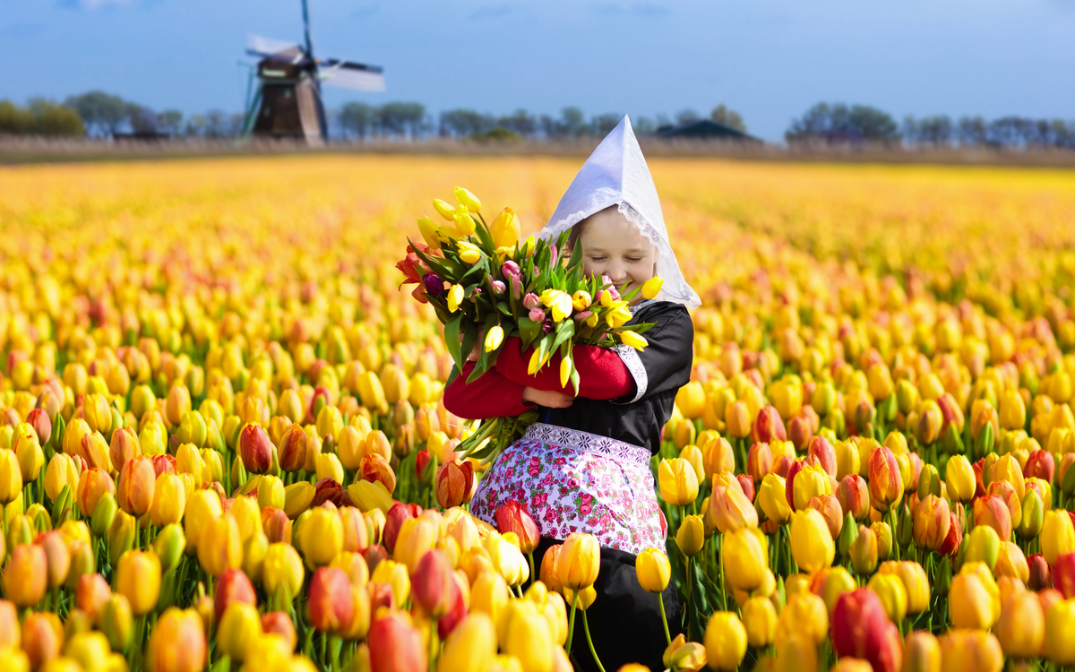 Zaanse Schans in den Niederlanden