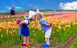 Niederländische Kinder in Tulpenfeld