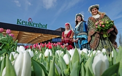 Keukenhof in den Niederlanden