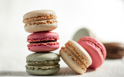 bunte Macarons
