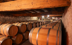 WIne celler with french oak barrels for aging of red wine made from Cabernet Sauvignon grape variety, Haut-Medoc vineyards in Bordeaux, left bank of Gironde Estuary, Pauillac, France