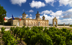 Vineyards with Chateau Cos d'Estournel, Bordeaux, Aquitaine, France