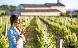 Weinverkostung in der Bordeaux-Region