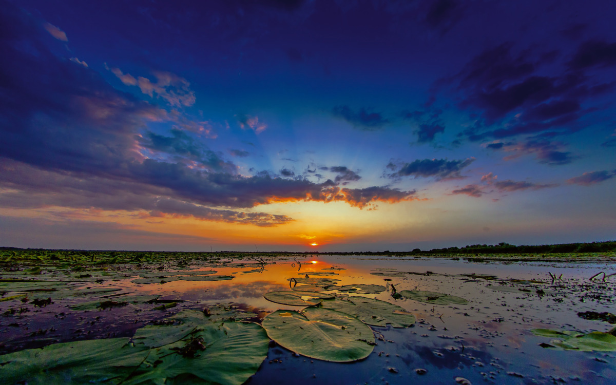 Sonnenuntergang an der Donau-Delta