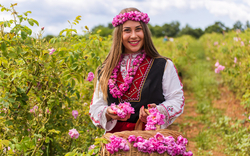 Kazanlak: Rosenfest
