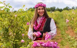 Kazanlak: Rosenfest