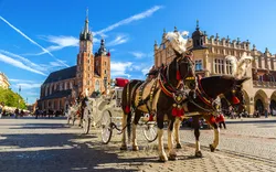 Pferdewagen am Hauptplatz in Krakau