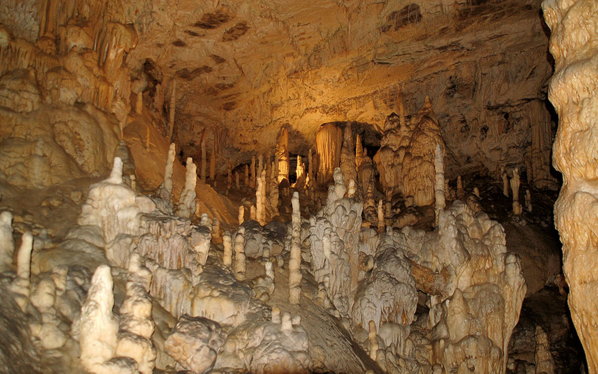 Höhlen von Postojna