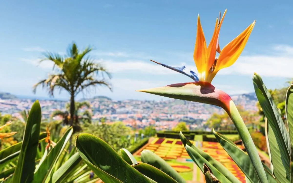 Funchal