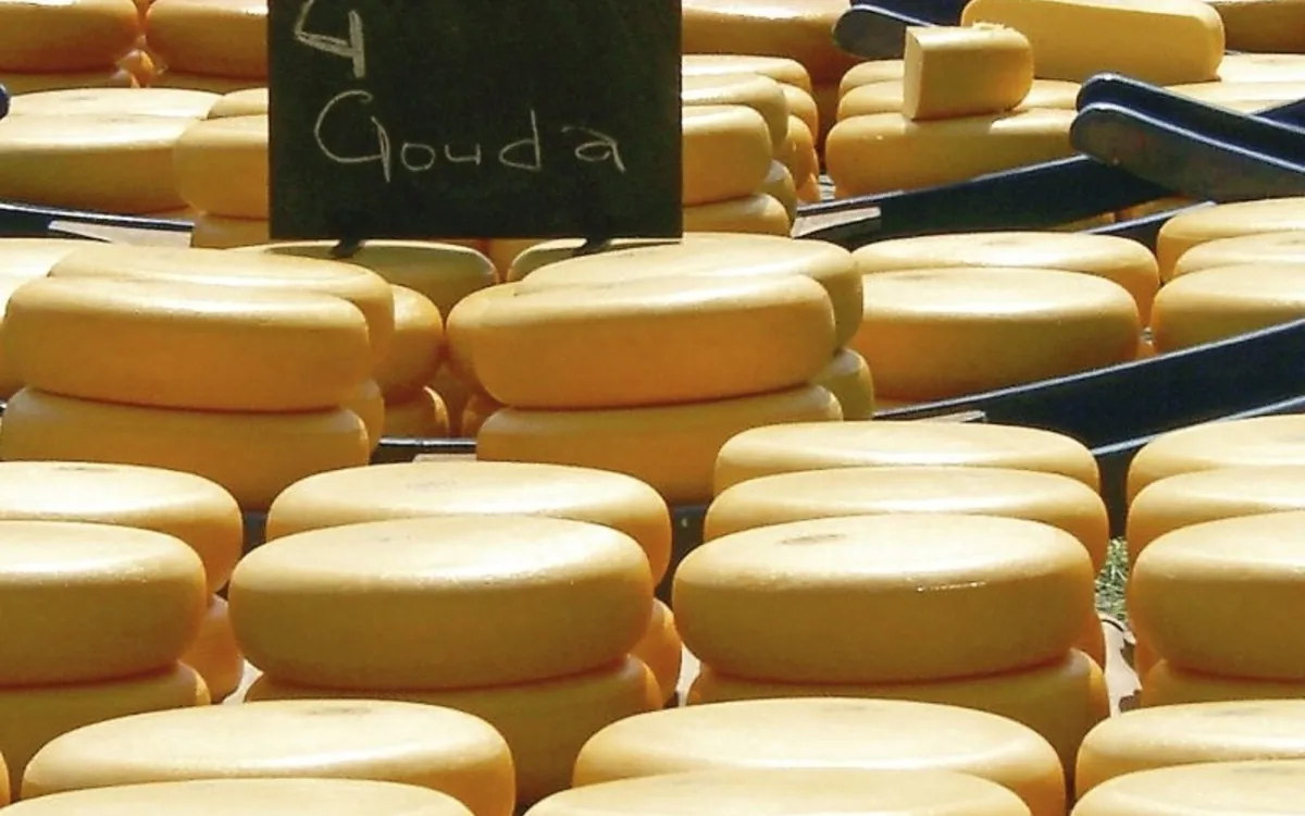 Käse in Gouda