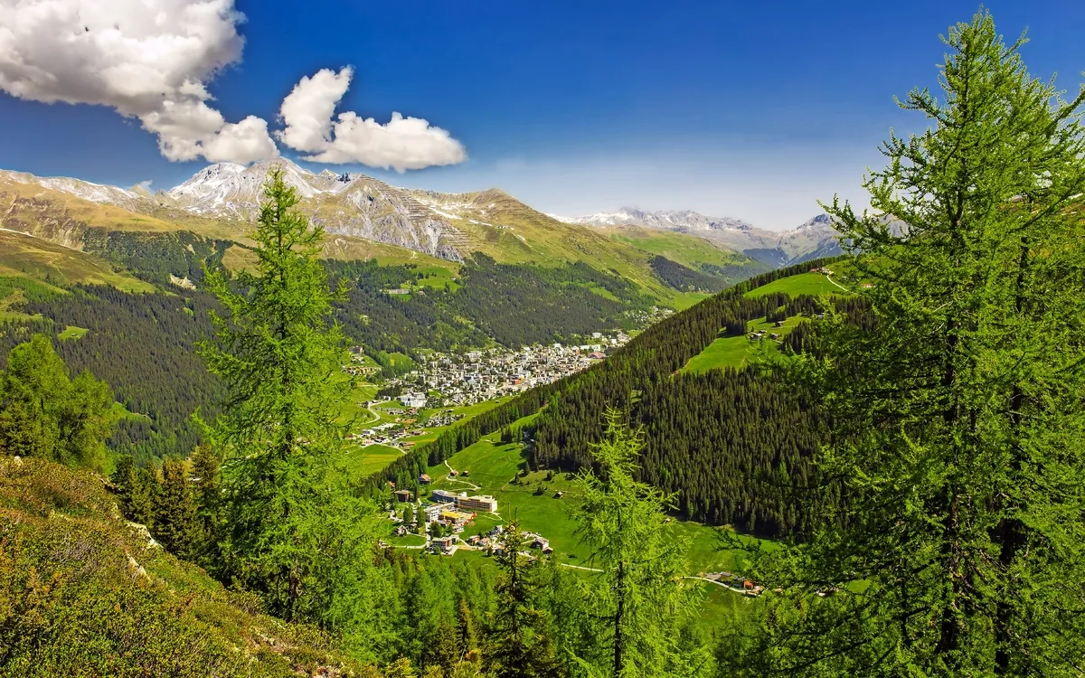Davos und Schweizer Alpen vom Rinerhorn