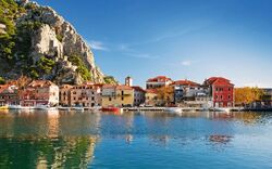 Omis