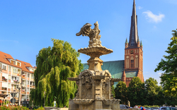 Stettins Pferdemarkt