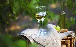 Flasche Schnaps oder Grappa und Gläser mit Weintraube