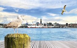 Moin Hamburg