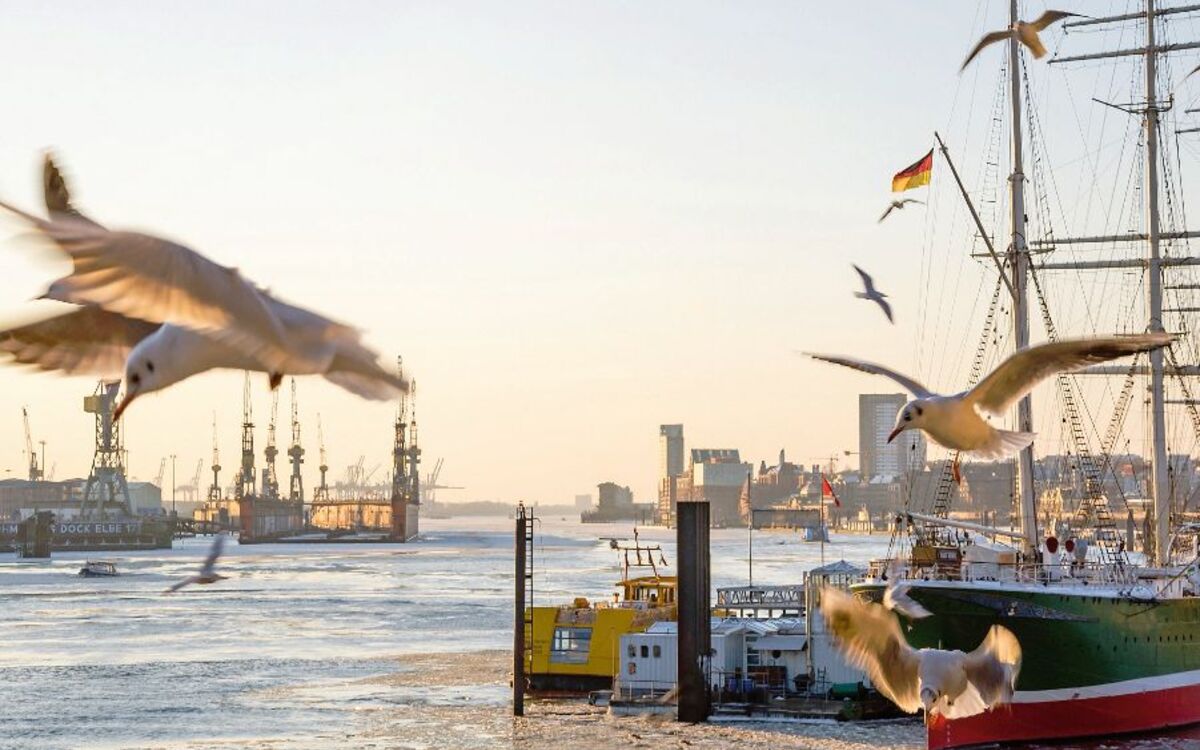 Hafen Hamburg