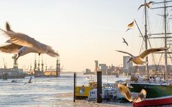 Hafen Hamburg