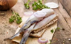 Fischbrötchen