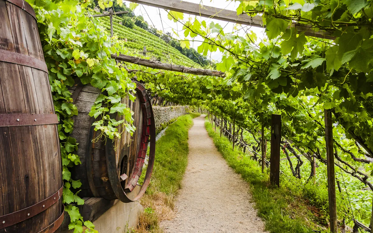 Algund bei Meran in Südtirol, Italien