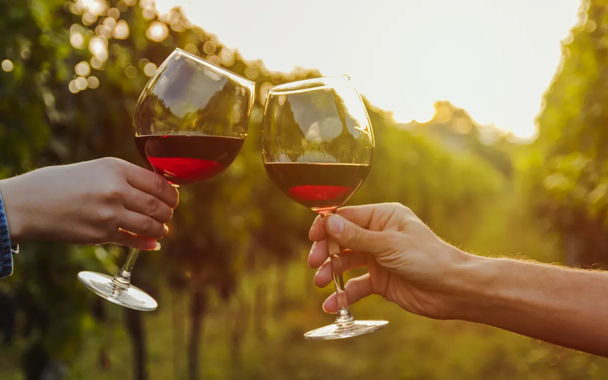 Rotwein in einem Weinberg während des Sonnenuntergangs