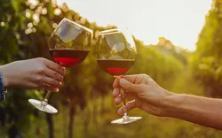 Rotwein in einem Weinberg während des Sonnenuntergangs