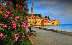 Rovinj in Istrien, Kroatien