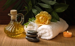 Wellness