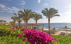 Strand am Roten Meer