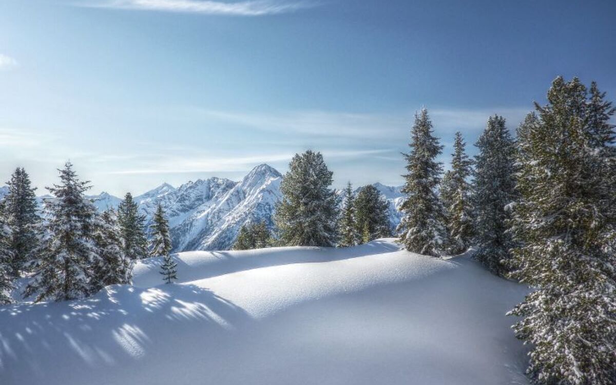 Winterwald 