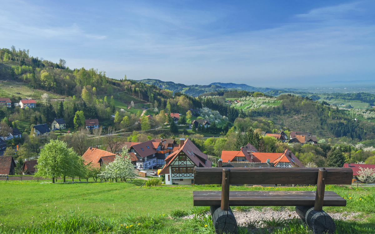 Schwarzwald in Sasbachwalden