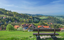 Schwarzwald in Sasbachwalden