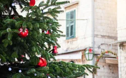Weihnachtsbaum mit roten Kugeln in Porec