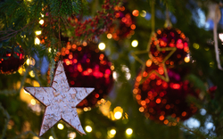 Christbaumkugeln hängen in einem Weihnachtsbaum