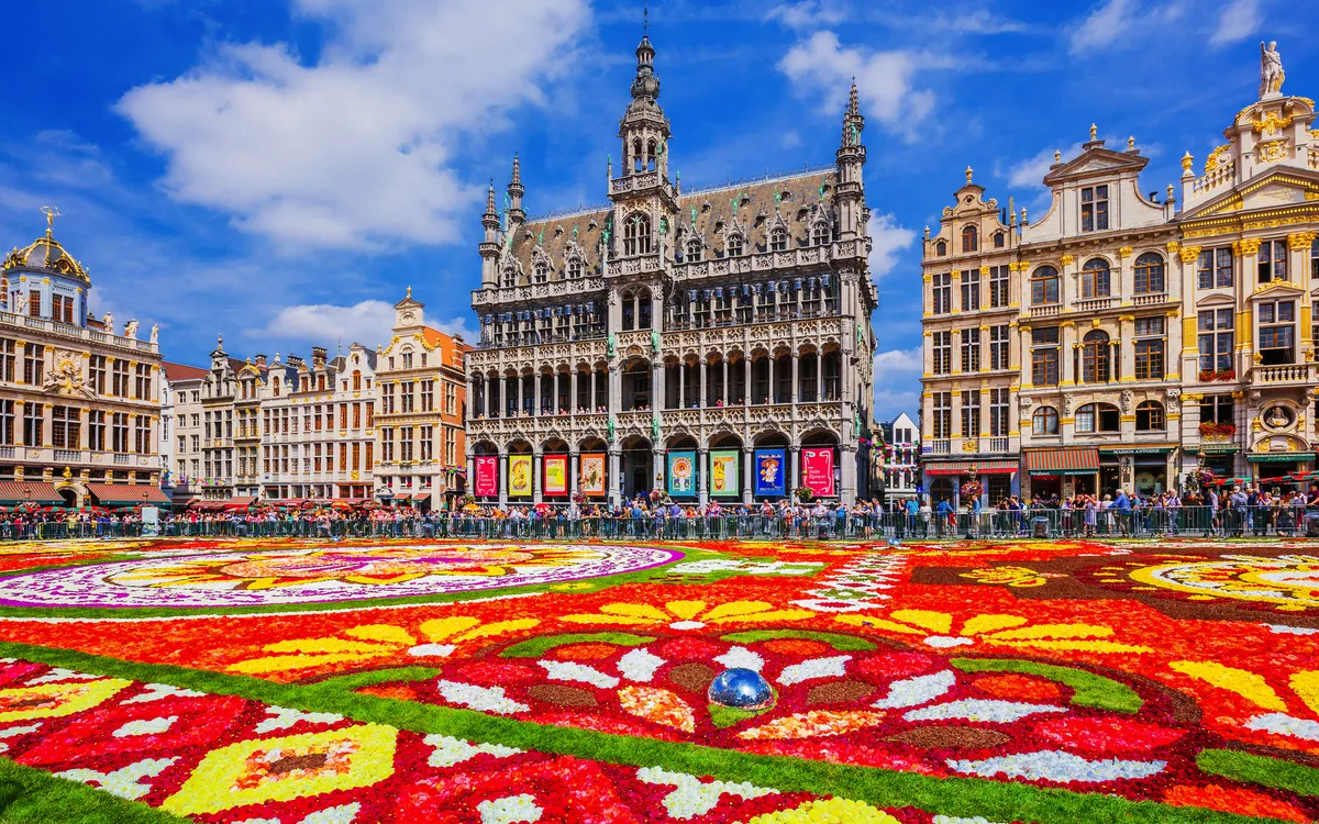 Blumenteppich auf dem Grote Markt in Brüssel