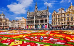 Blumenteppich auf dem Grote Markt in Brüssel