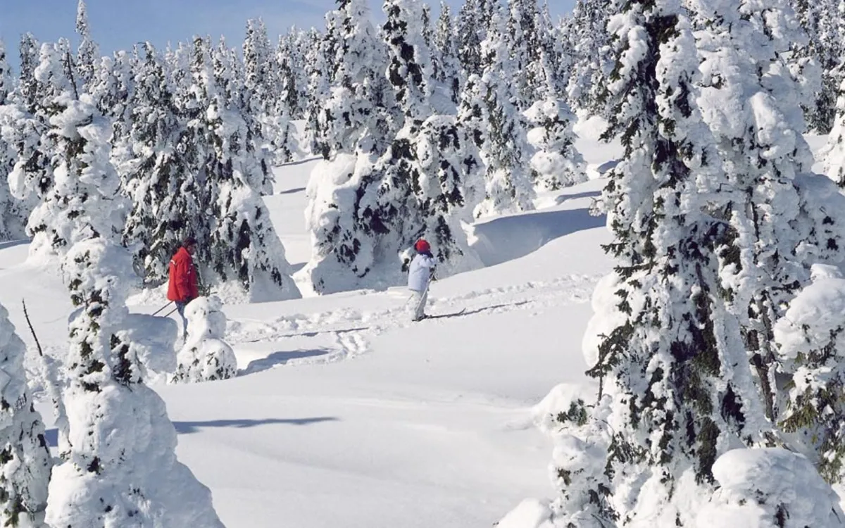 Winterlandschaft an der Schneekoppe