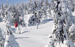 Winterlandschaft an der Schneekoppe