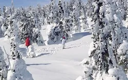 Winterlandschaft an der Schneekoppe