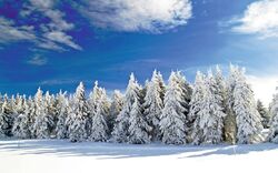 Winterlandschaft
