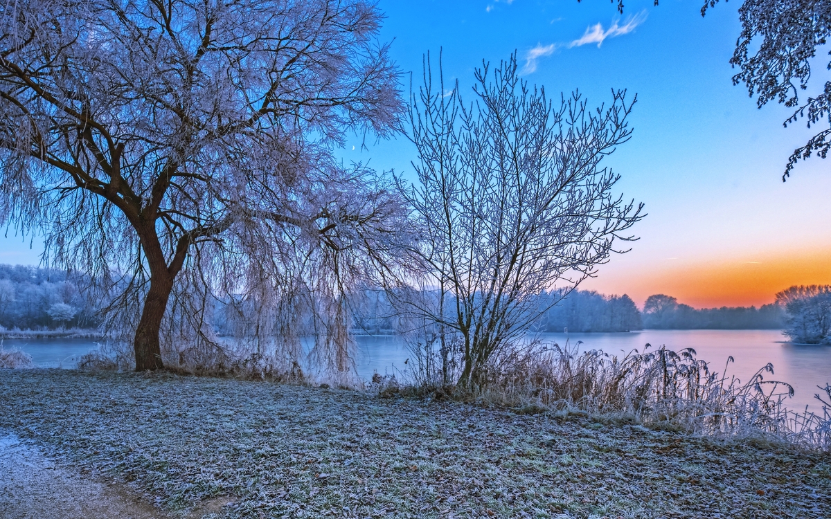 Winterlandschaft 1 / Eingefrorene Landschaft am Thielenburger See in Dannenberg (Wendland, Niedersachsen). Aufgenommen am 5. Dezember 2016.