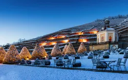 Weihnachtliche Stimmung im Park Schloss Wackerbarth in Radebeul