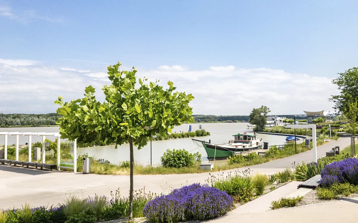 Tulln in Niederösterreich