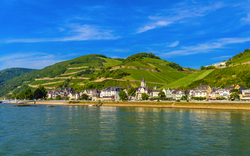Weinberge in Rüdesheim 