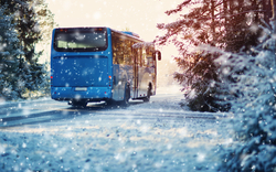 Bus auf Winterstraße durch Nadelwald